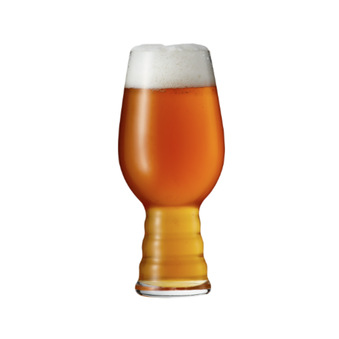 九十九里オーシャン「IPA」330mlX12 千葉県 寒菊銘醸