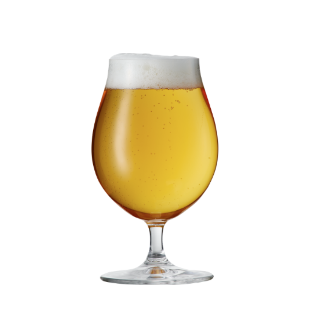 九十九里オーシャン 「ライスエール」 330mlX12 千葉県 寒菊銘醸