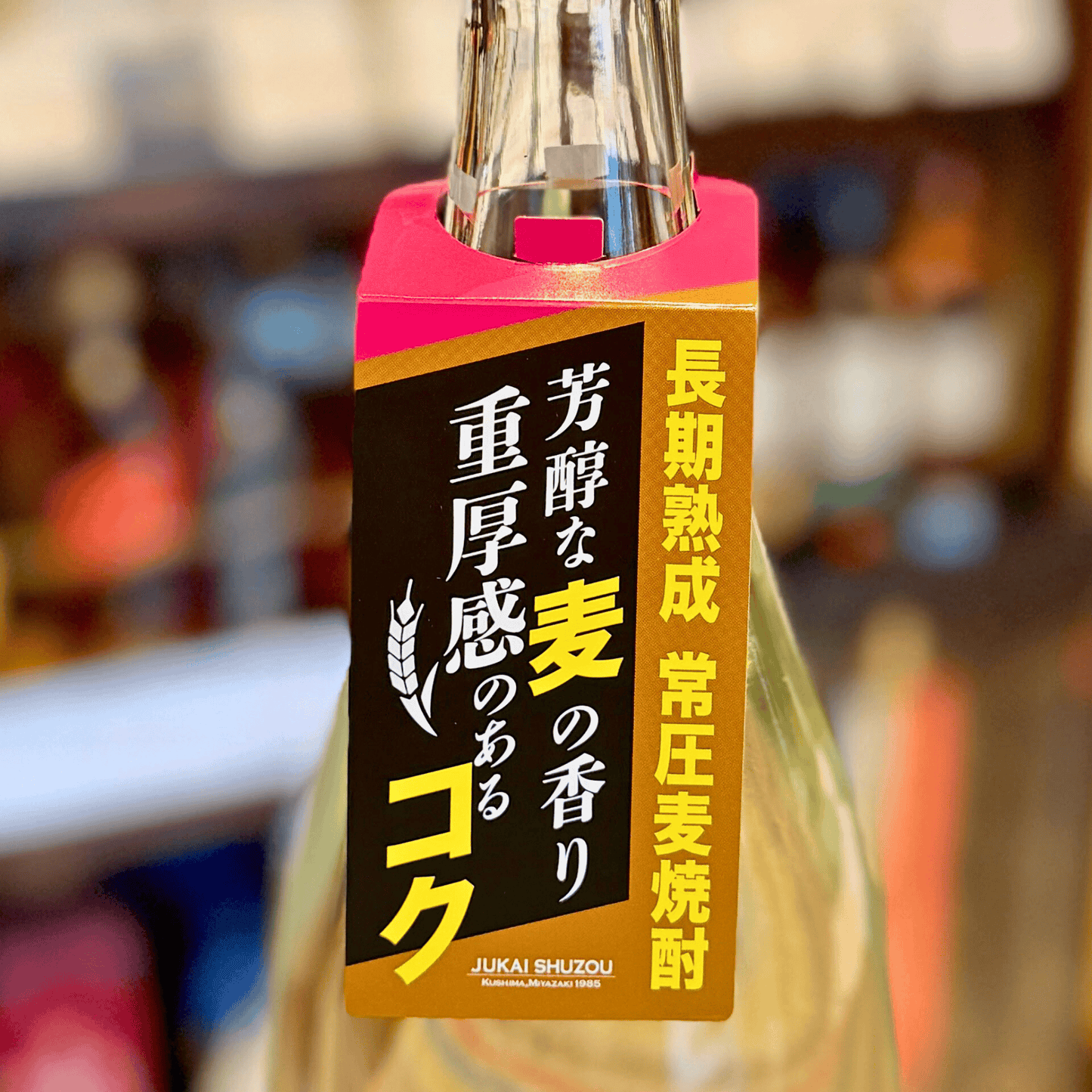 寿海酒造 常圧 麦焼酎ムギジョー ２５度 【数量限定】