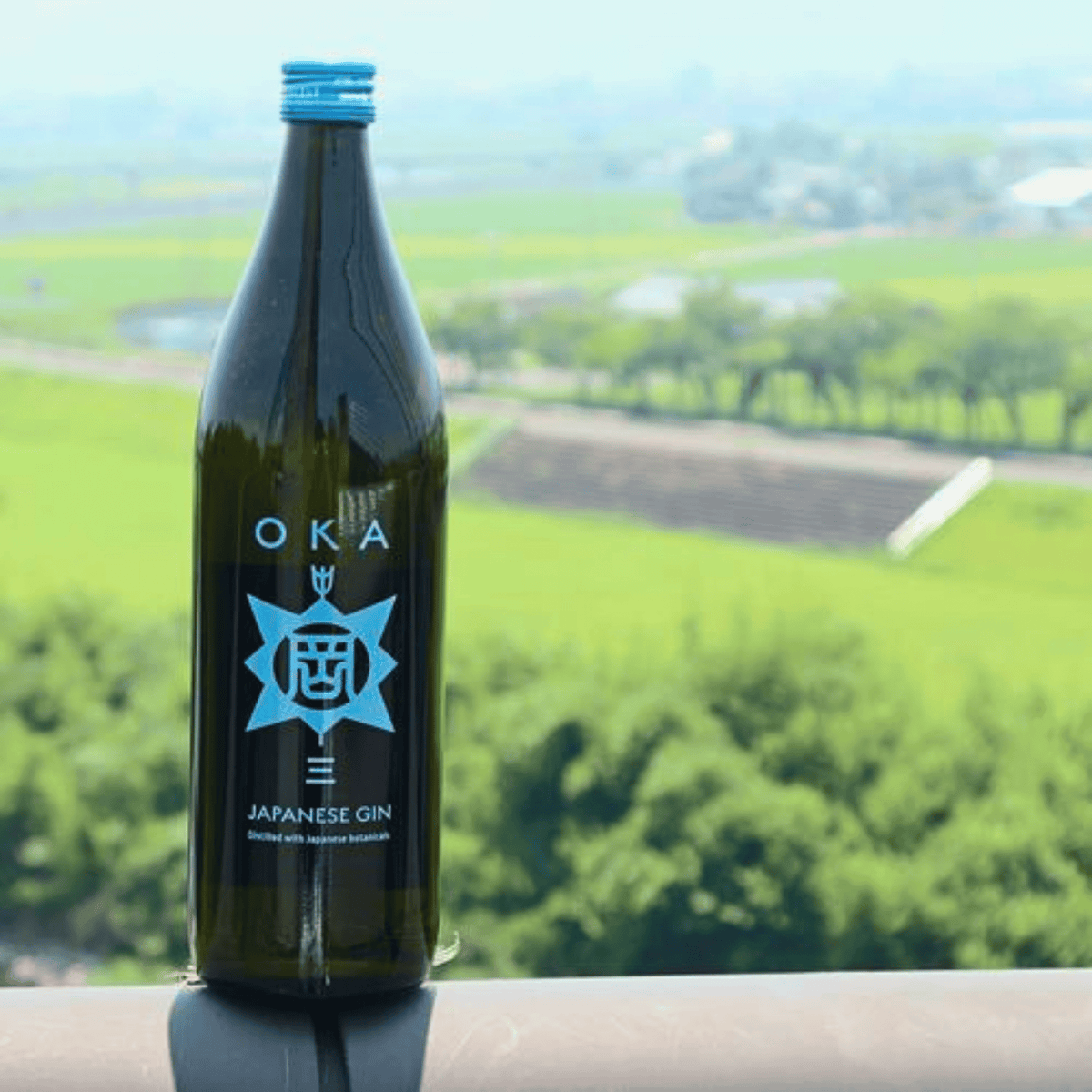 OKA GIN 三 オカジンサン 900ml クラフトジン ジャパニーズジン 熊本県 堤酒造