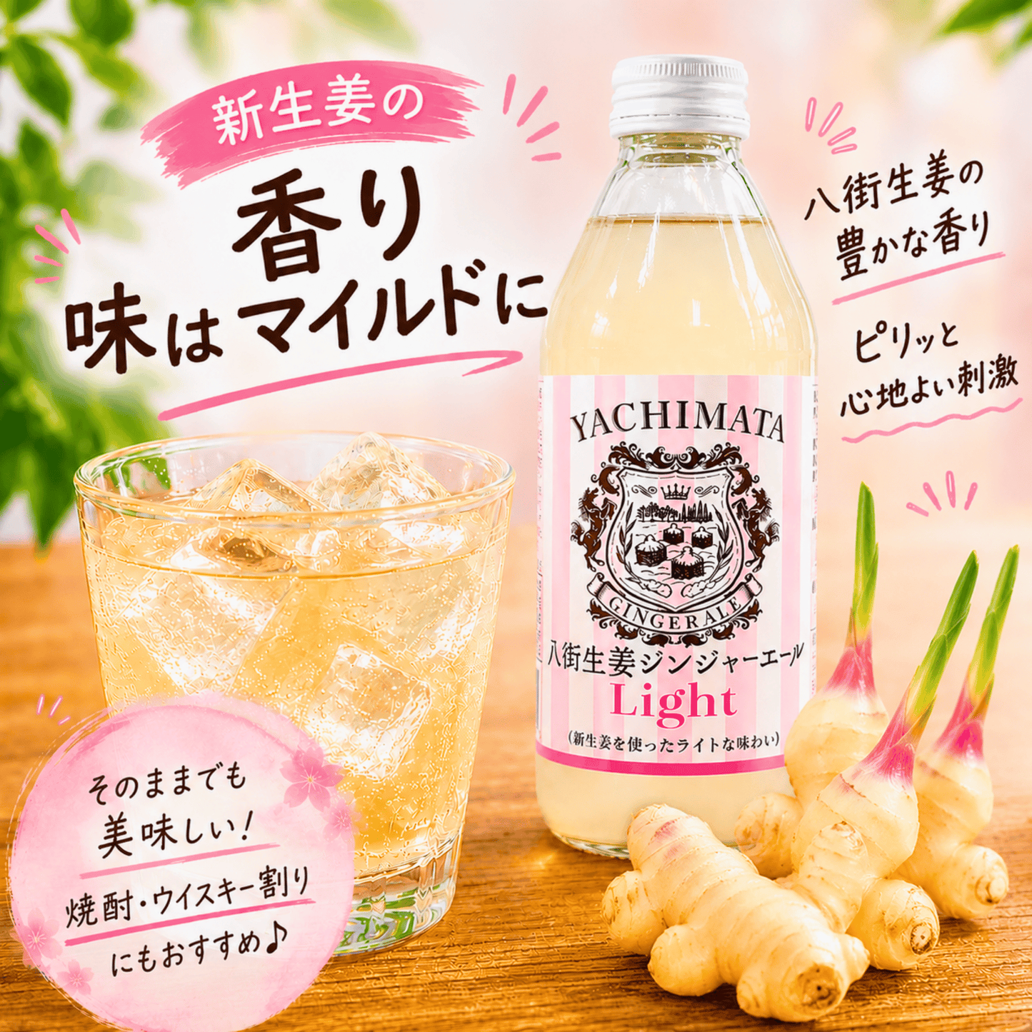 八街生姜ジンジャーエール 250ml｜千葉県八街産生姜使用 ご当地ジンジャーエール【酒乃すぎい】