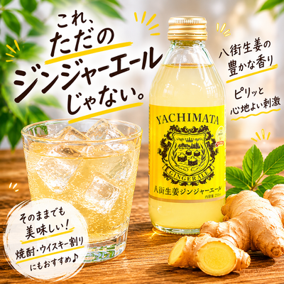 八街生姜ジンジャエール 250ml