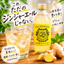 八街新生姜ジンジャエールライト 250ml 24本 送料無料